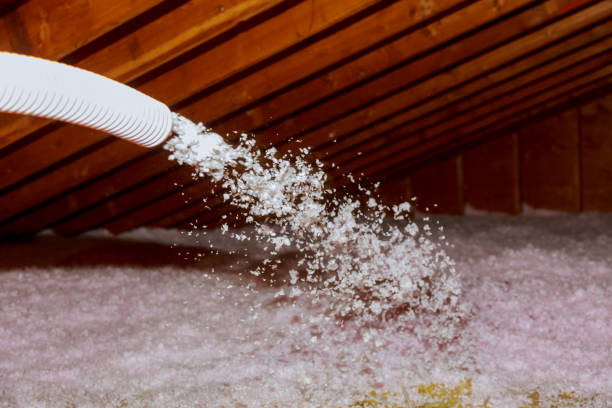 Best Batt and Roll Insulation  in Palmhurst, TX