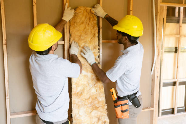 Best Insulation Removal  in Palmhurst, TX