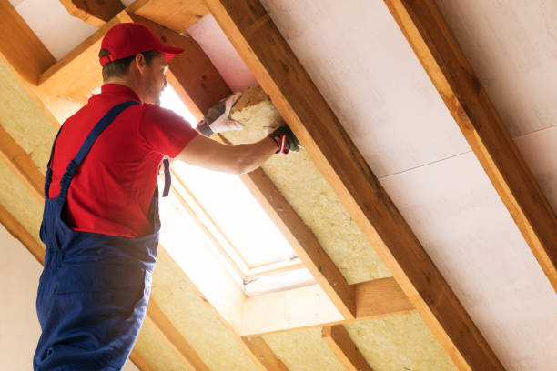 Best Insulation for New Construction  in Palmhurst, TX